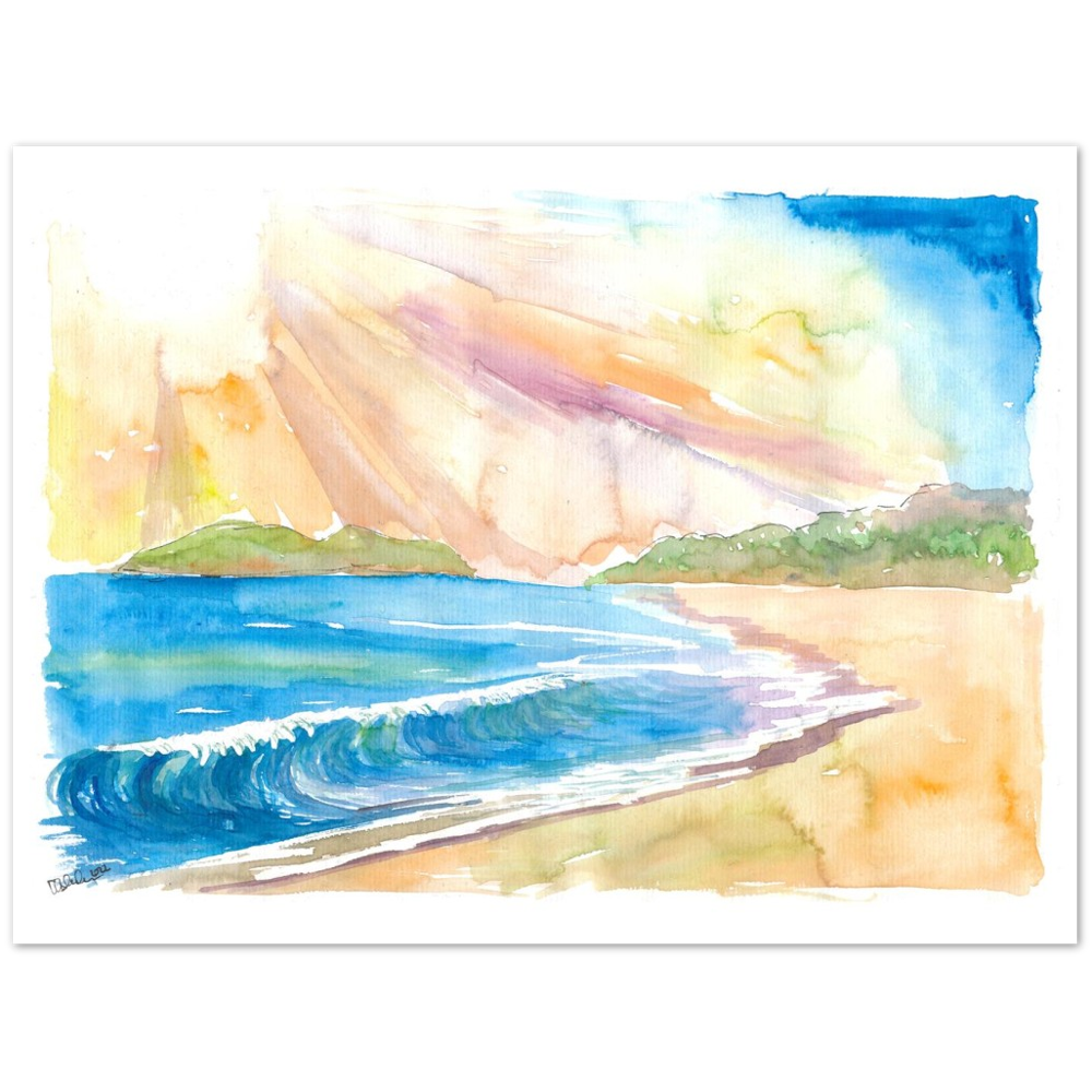Goa India Dream Beach Indian Ocean Swell