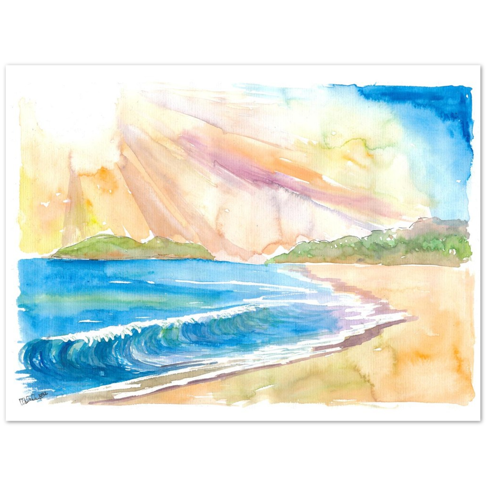 Goa India Dream Beach Indian Ocean Swell