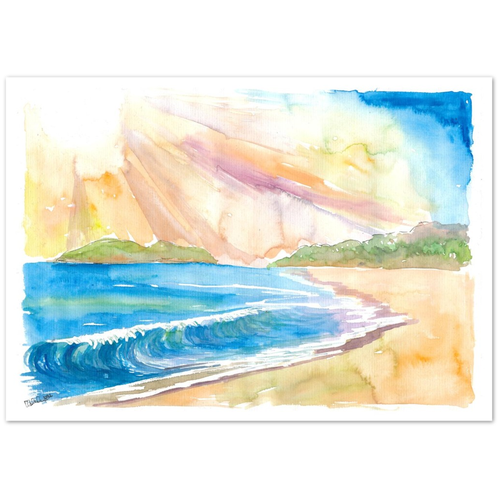 Goa India Dream Beach Indian Ocean Swell
