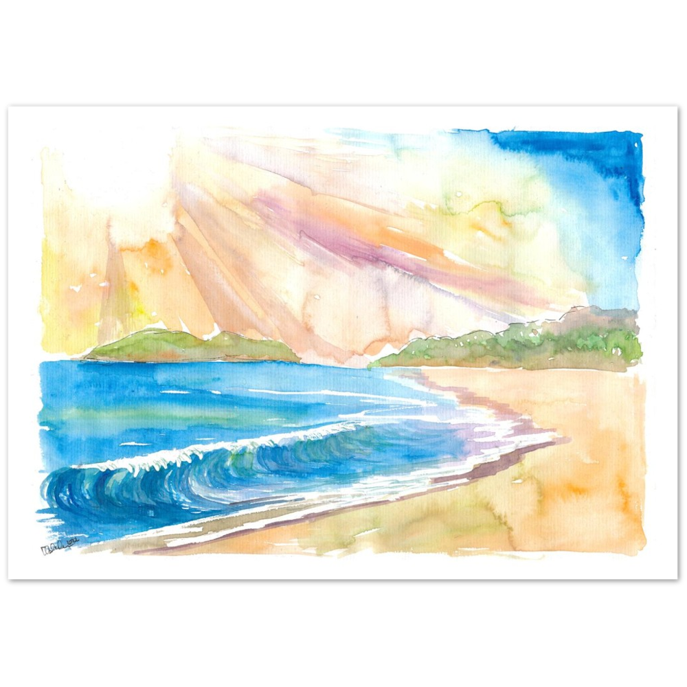 Goa India Dream Beach Indian Ocean Swell